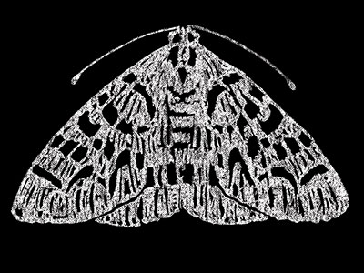 Template-Event-List-Image-400x300-the-moth