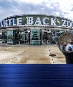 Wild Adventures at Turtle Back Zoo
